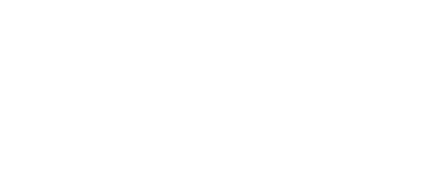46 46